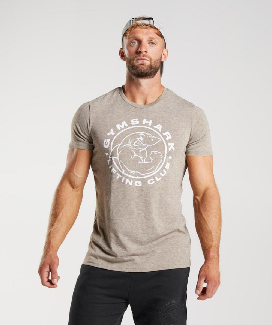 T Shirts Gymshark Legacy Hombre Gris | CO 3325RVD